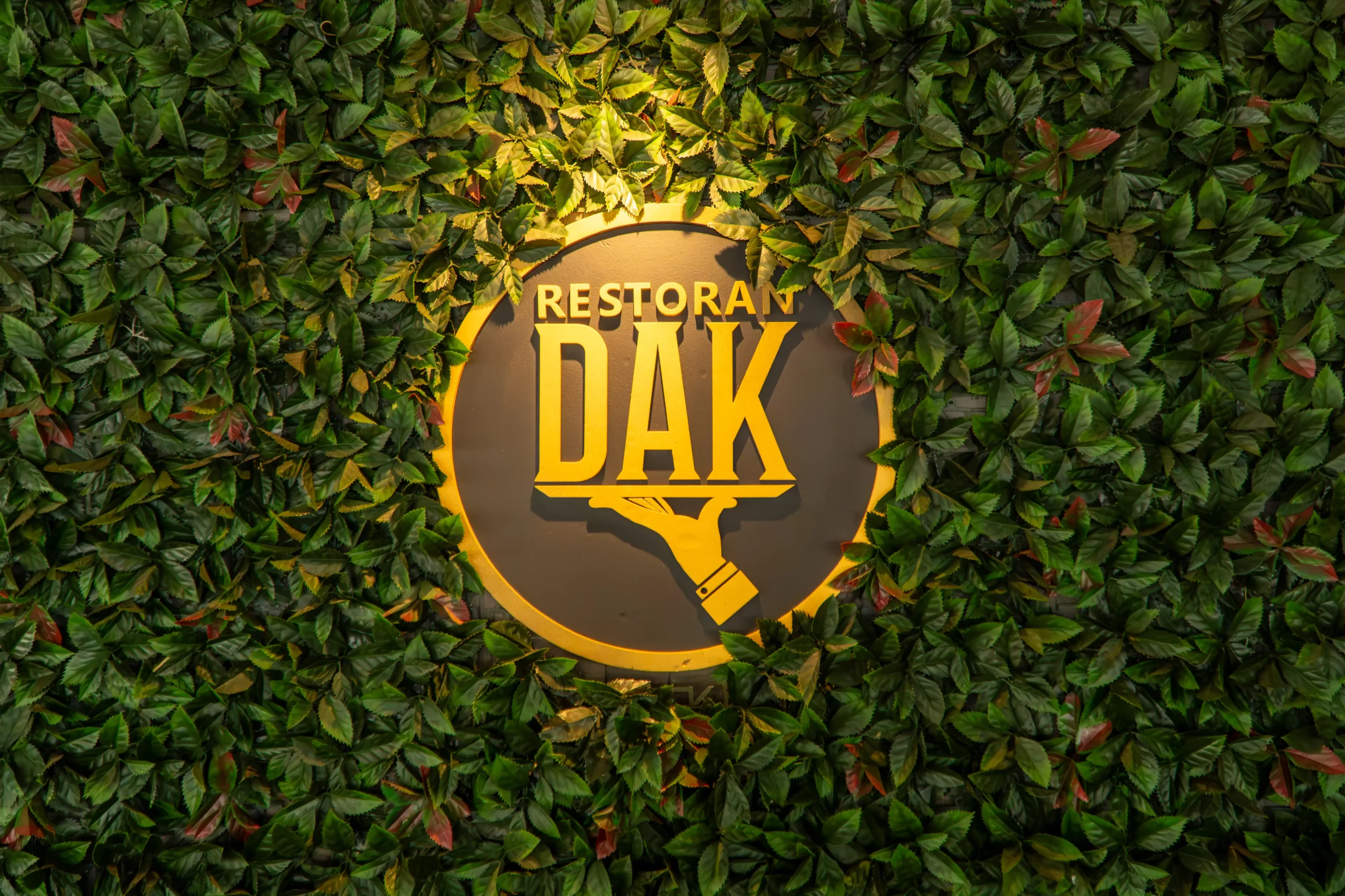 Dak (1 of 1)-10